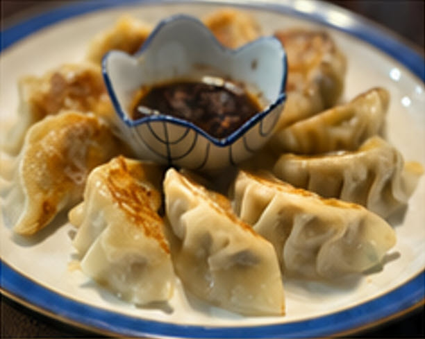 Handmade Pork Dumplings